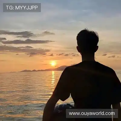 蓬宝蝶